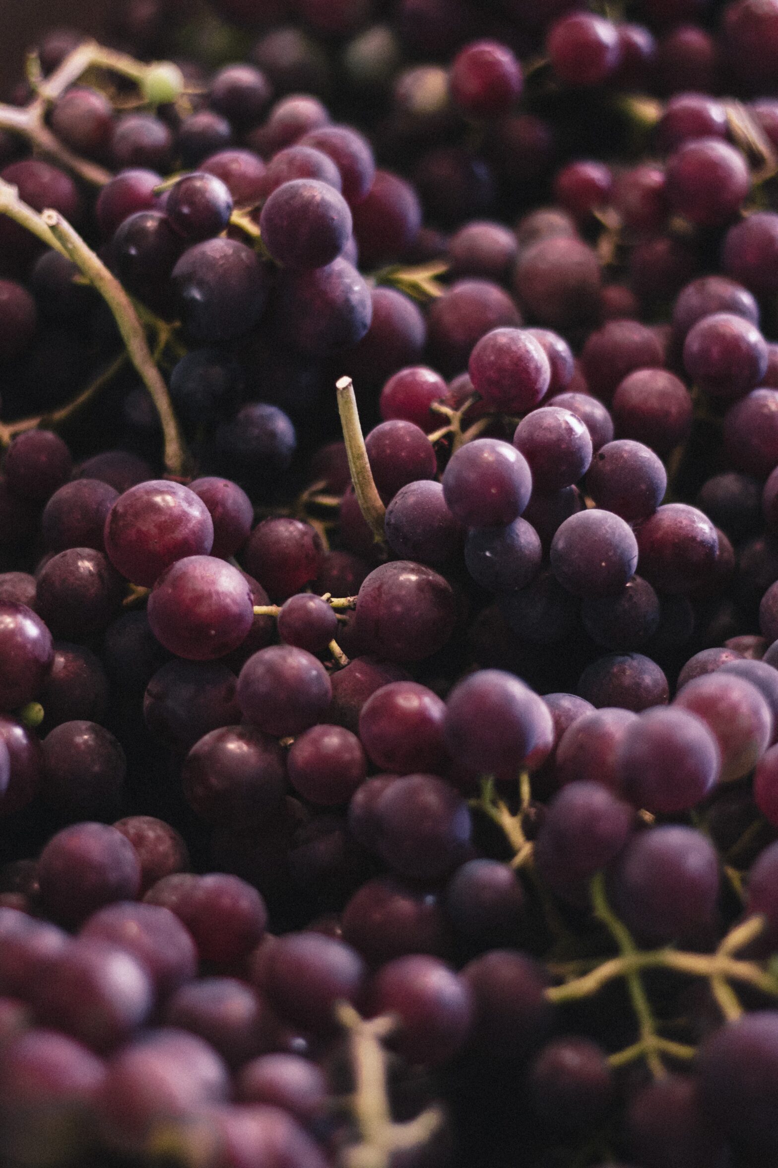 7 amazing health benefits of grapes 3