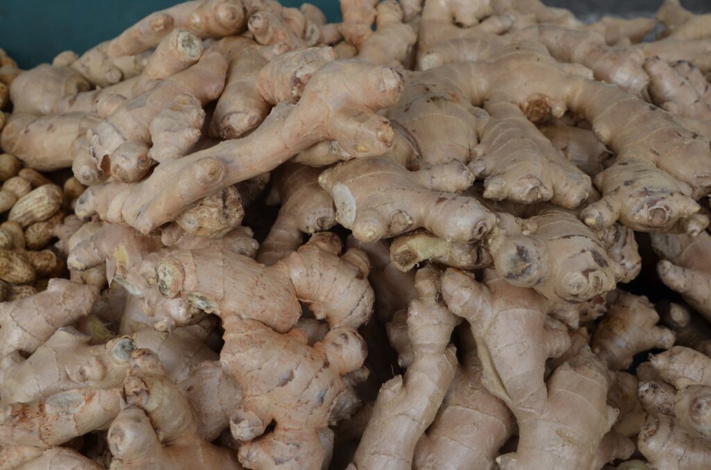 Ginger: A Culinary and Medicinal Tradition for Centuries