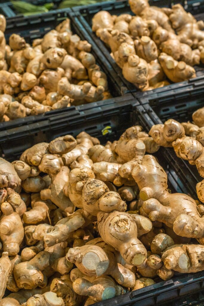 Ginger: A Culinary and Medicinal Tradition for Centuries